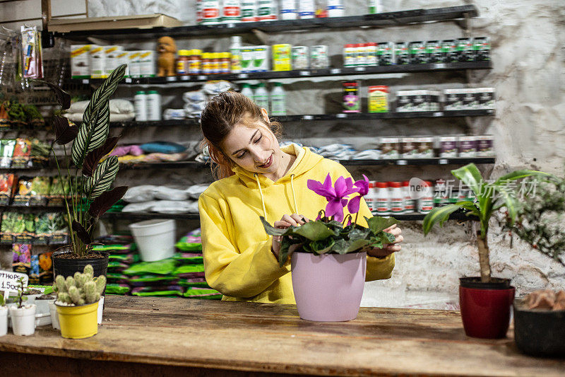 花店柜台上捧着花盆的中年花主/服务员